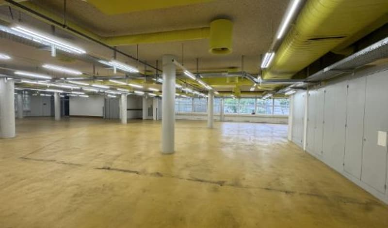 Commercial/Storage Space for Rent in Solothurn (8)