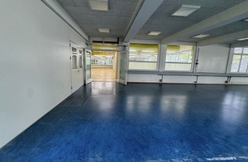 Commercial/Storage Space for Rent in Solothurn (6)
