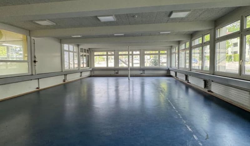 Commercial/Storage Space for Rent in Solothurn (5)