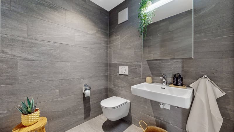 3.5-Zimmer-Wohnung mit grosser Terrasse zu vermieten (10)