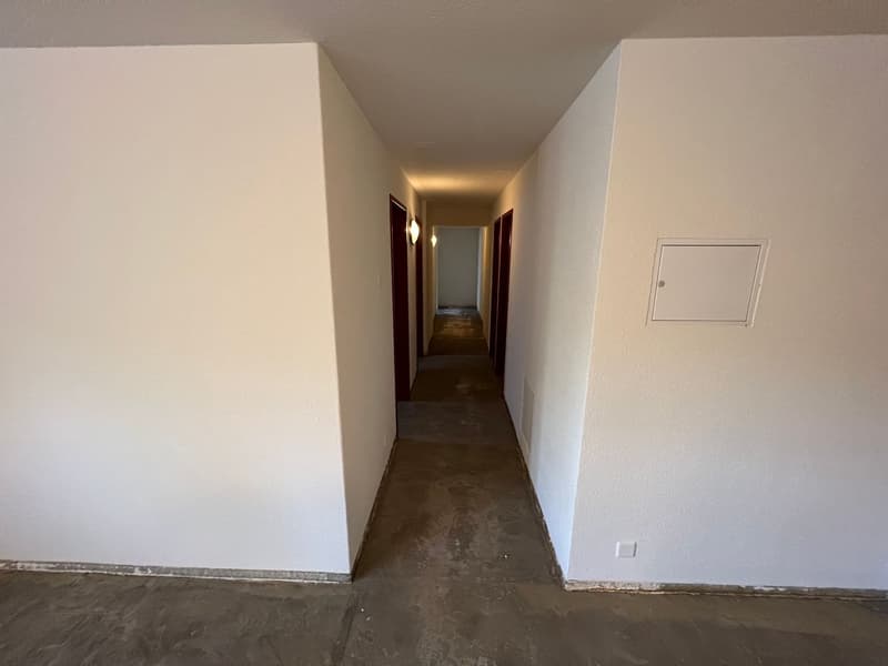 Attractive commercial space for rent in Lausen (7)