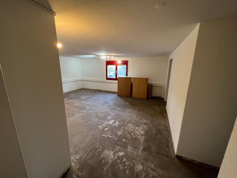 Attractive commercial space for rent in Lausen (3)