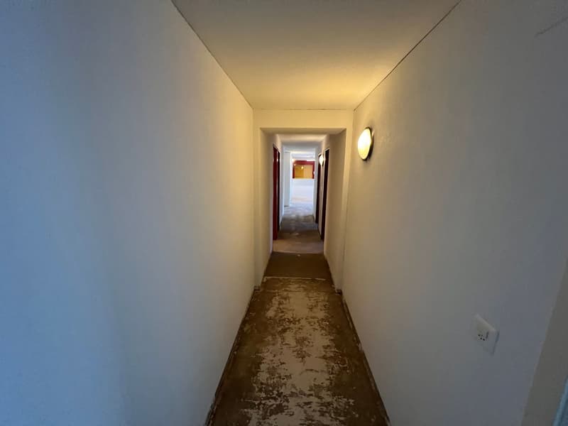 Attractive commercial space for rent in Lausen (16)
