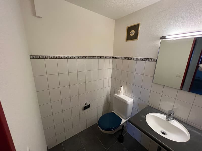 Attractive commercial space for rent in Lausen (18)