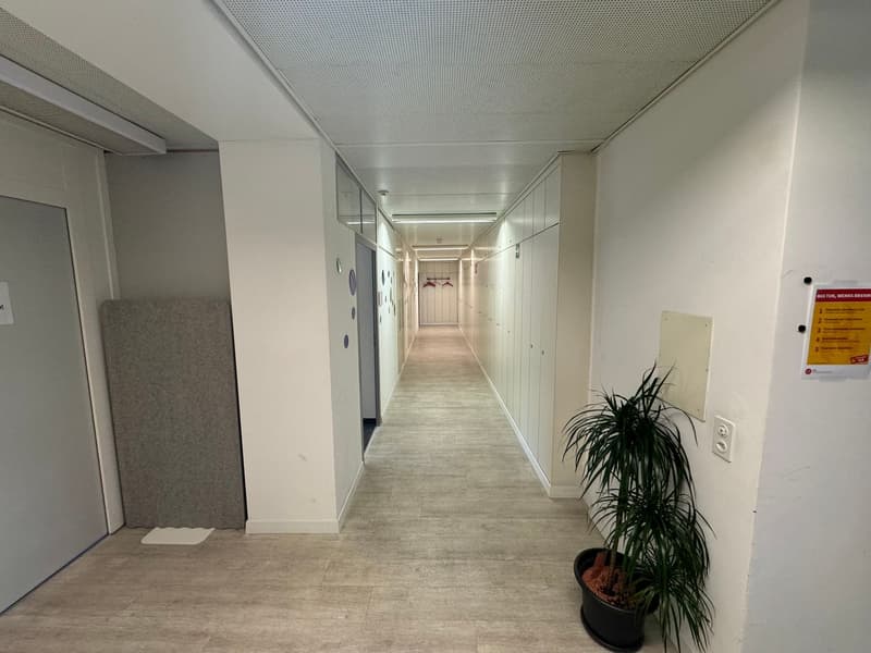 Zentrale Büro- und Gewerbefläche mit Blick auf die Aare (4)