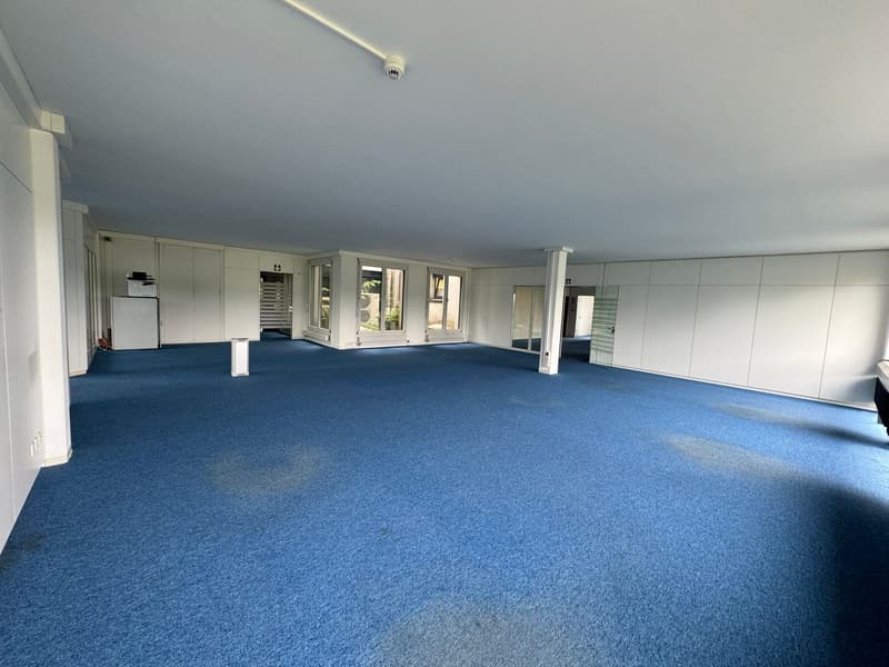 Espace de bureau et commercial spacieux à louer à Sempach-Station (8)