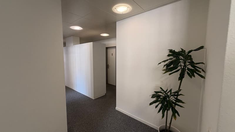 Geräumige Büro- und Gewerbeflächen im Herzen von Liestal (11)