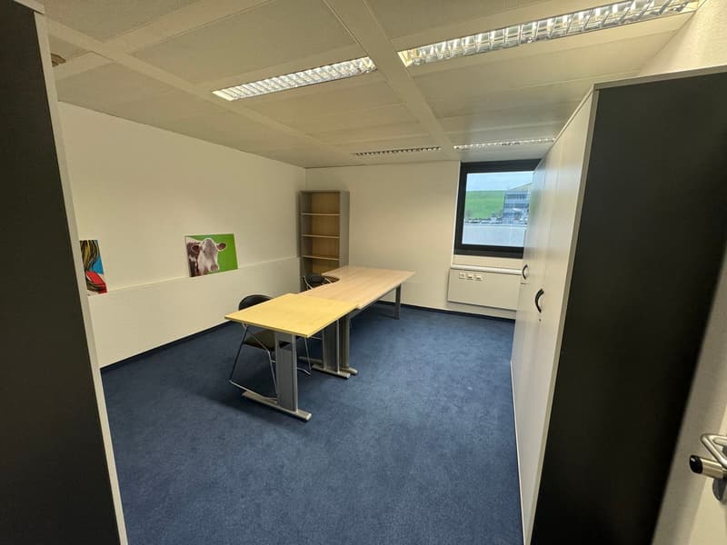 Attraktiver Bürostandort im Steuerparadies (5)