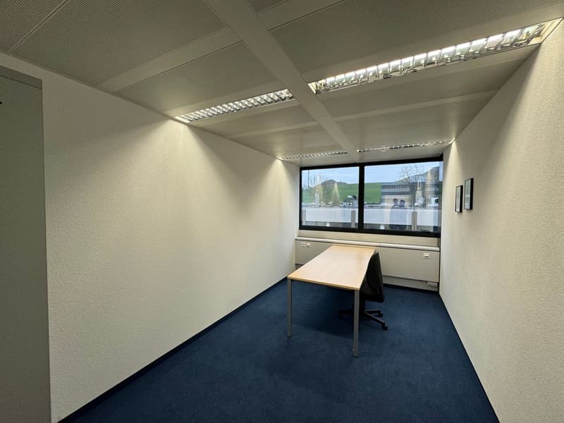 Attraktiver Bürostandort im Steuerparadies (7)