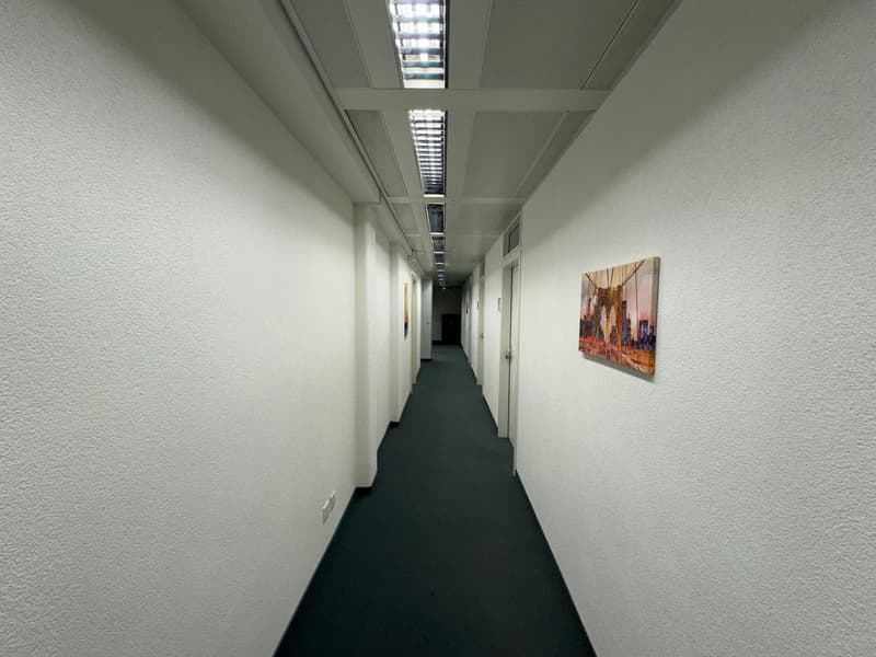 Attraktiver Bürostandort im Steuerparadies (4)