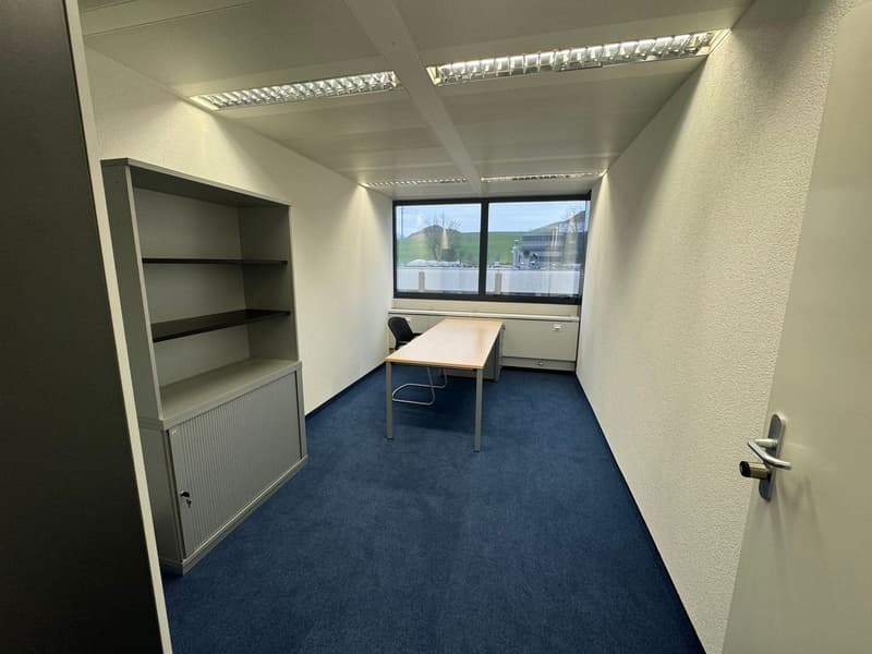 Attraktiver Bürostandort im Steuerparadies (10)