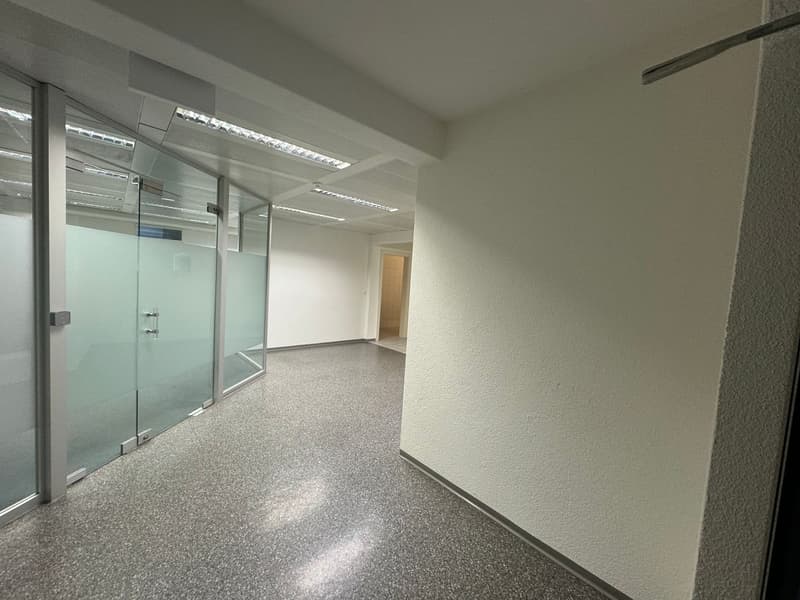 Attraktiver Bürostandort im Steuerparadies (12)