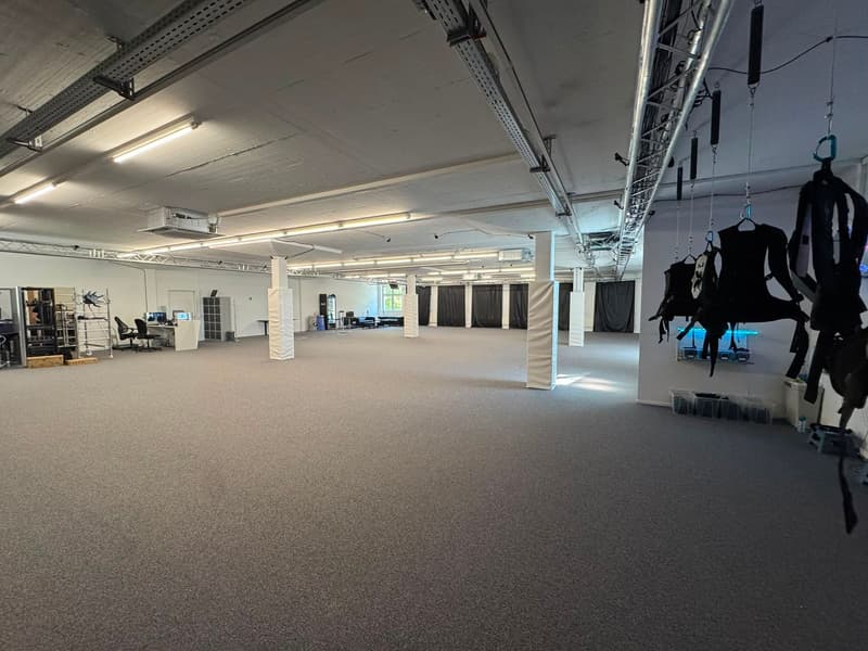 Geräumige Gewerbefläche an frequentierter Lage im Kanton Luzern (8)