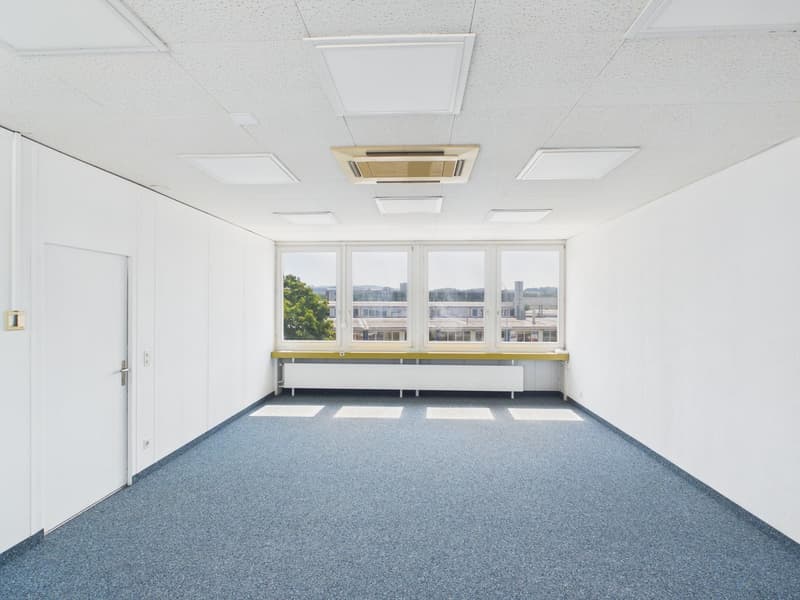 Geräumige Büro- und Gewerbefläche in Weinfelden zu vermieten (1)