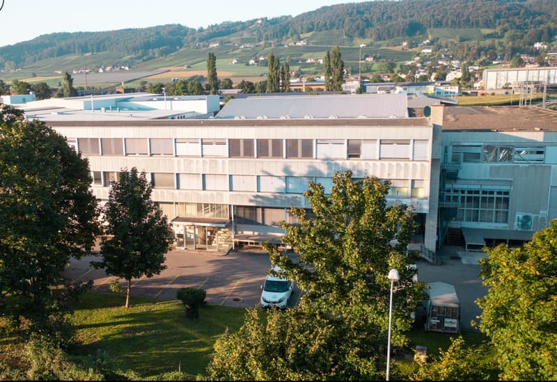 Geräumige Büro- und Gewerbefläche in Weinfelden zu vermieten (2)