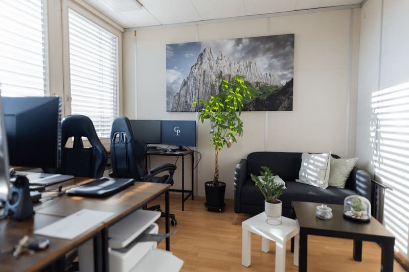 Büro- und Gewerbefläche in Weinfelden zu vermieten (3)