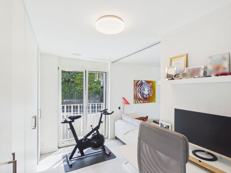 Lichtdurchflutete 3.5 Zimmer Penthousewohnung mit riesiger Terrasse, zentral in Luzern (14)