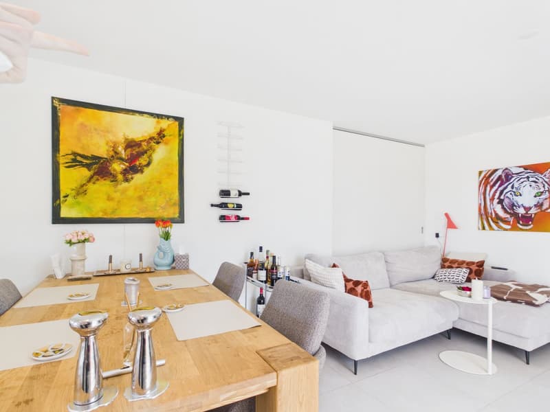 Lichtdurchflutete 3.5 Zimmer Penthousewohnung mit riesiger Terrasse, zentral in Luzern (11)