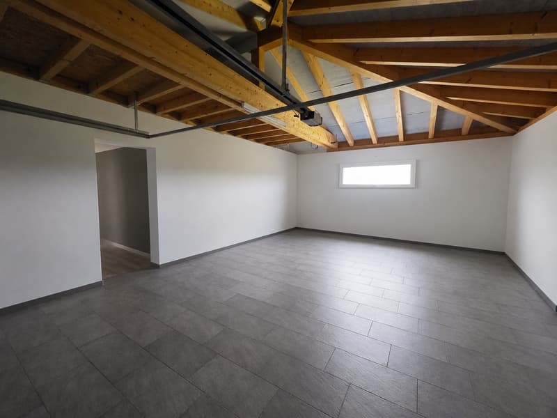 Splendide villa individuelle de 7.5 pièces avec espace wellness et piscine (24)