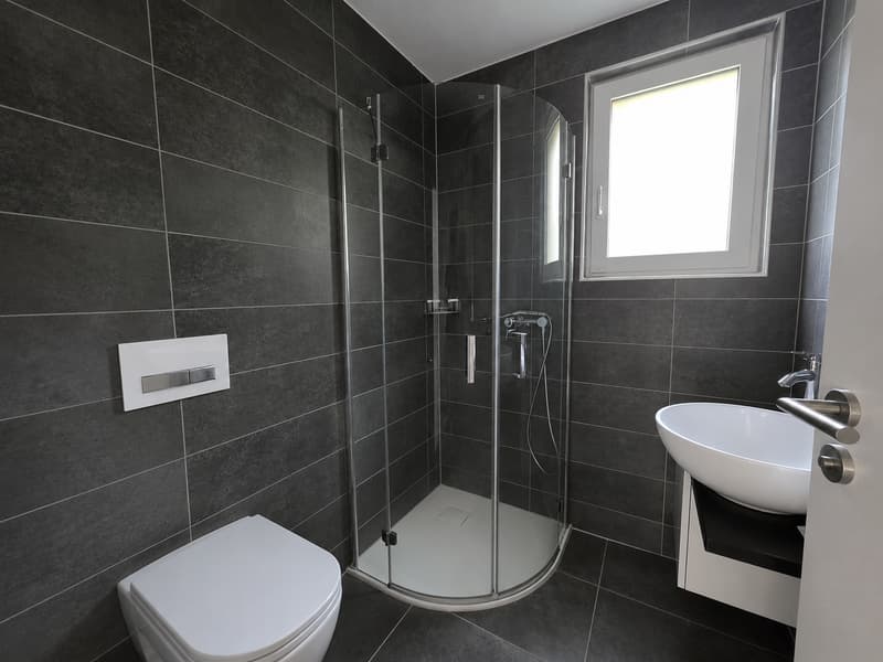 Splendide villa individuelle de 7.5 pièces avec espace wellness et piscine (23)