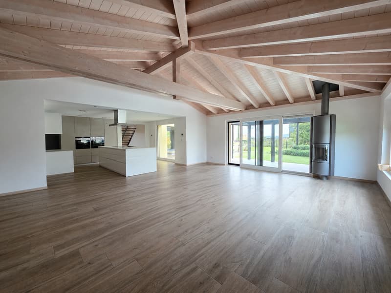 Splendide villa individuelle de 7.5 pièces avec espace wellness et piscine (3)