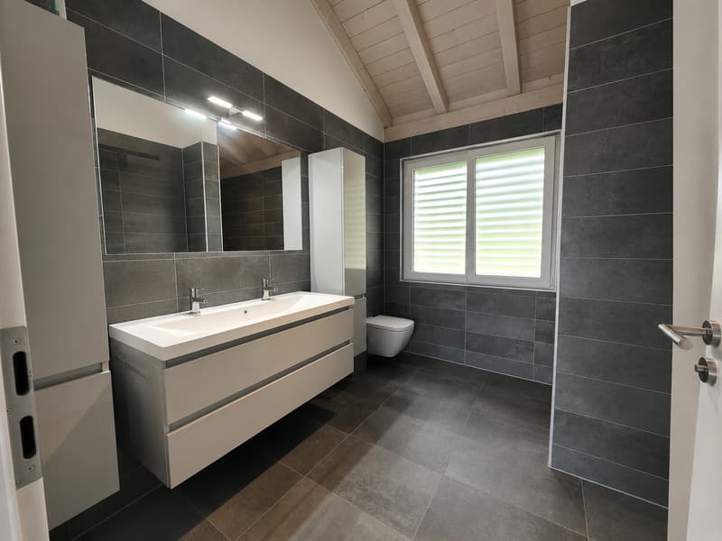 Splendide villa individuelle de 7.5 pièces avec espace wellness et piscine (22)