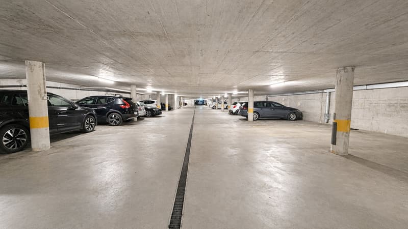 Superbe duplex lumineux de 3,5 pièces dans un emplacement idéal ! (13)