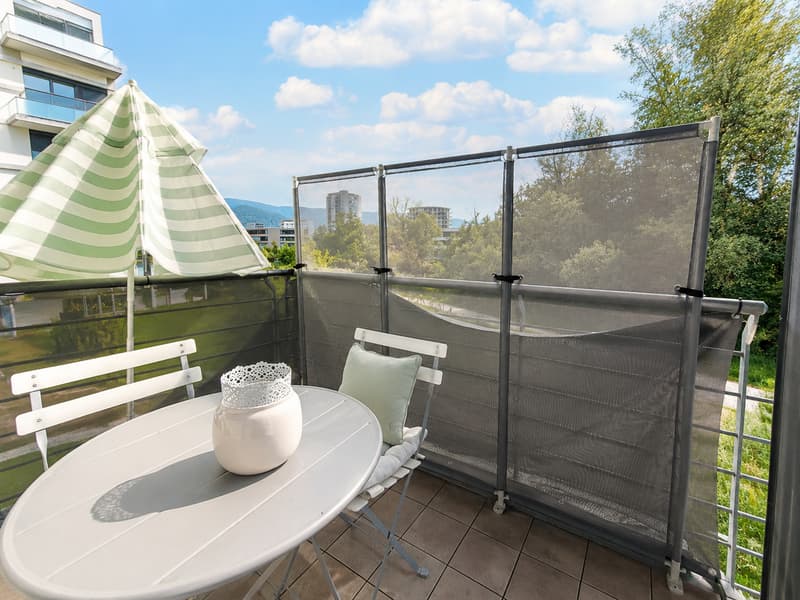 Superbe duplex lumineux de 3,5 pièces idéalement situé (5)