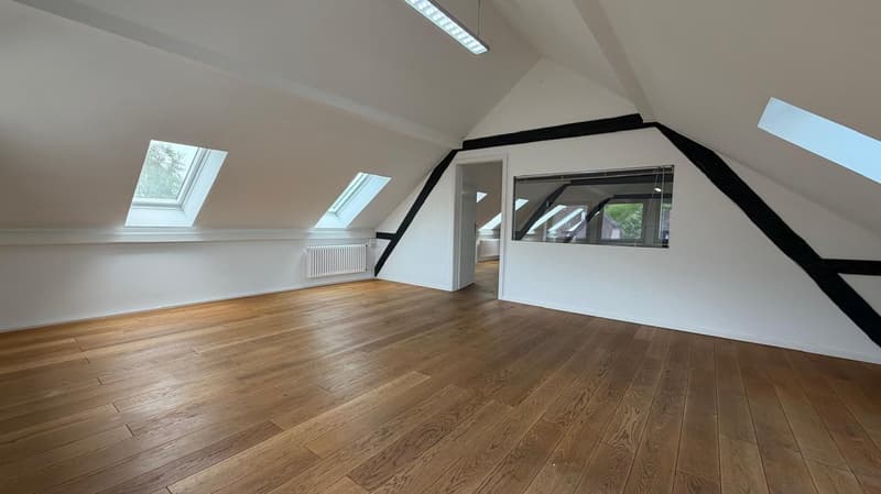 Loft de caractère de 2.5 pièces à Delémont – Disponible immédiatement (6)