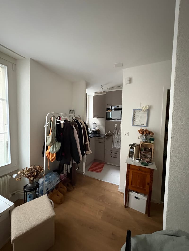 Appartement de 1 pièce, Au cœur de la ville de Morges (8)