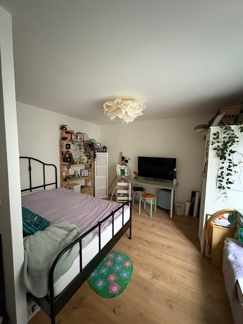 Appartement de 1 pièce, Au cœur de la ville de Morges (7)