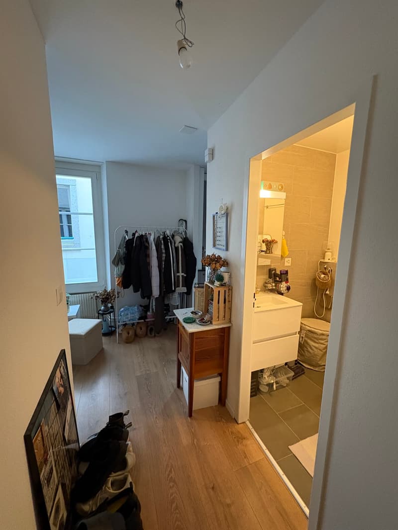 Appartement de 1 pièce, Au cœur de la ville de Morges (9)