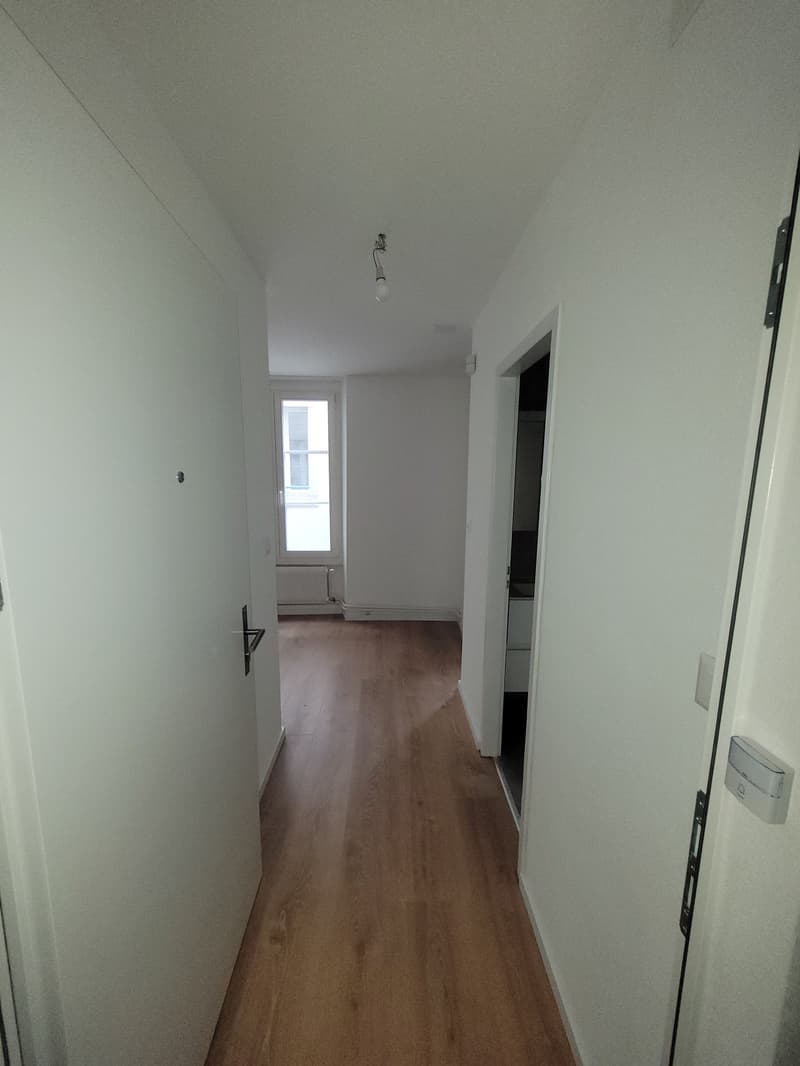 Appartement de 1 pièce, Au cœur de la ville de Morges (4)