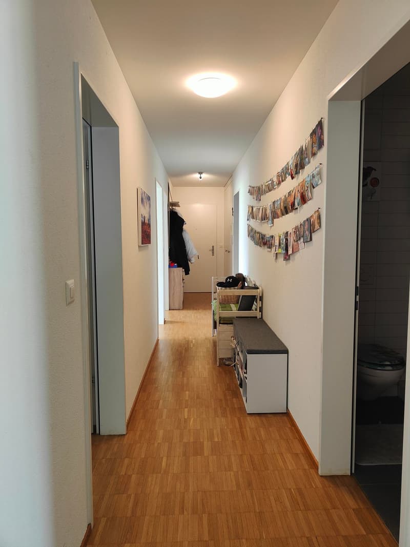 grosszügige 4.5-Zimmerwohnung zu vermieten (4)