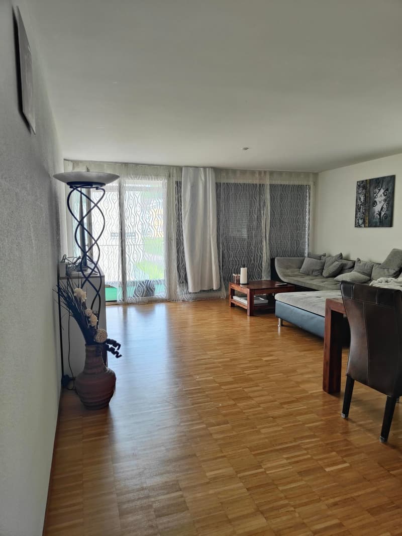 grosszügige 4.5-Zimmerwohnung zu vermieten (10)