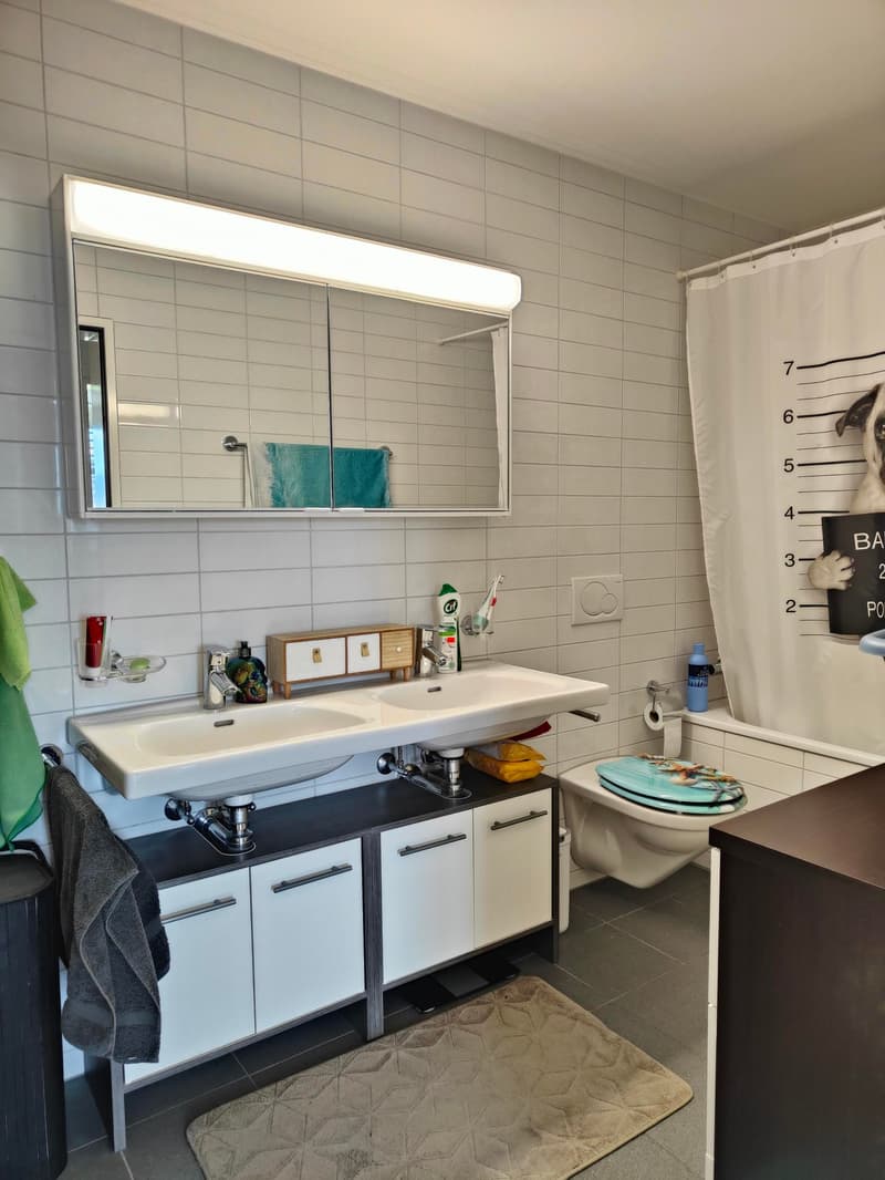 grosszügige 4.5-Zimmerwohnung zu vermieten (6)