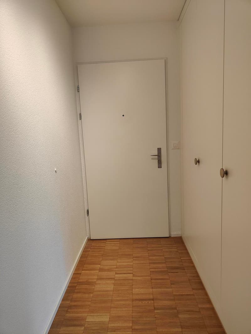schöne, helle 3.5-Zimmer-Wohnung in Ebikon (8)