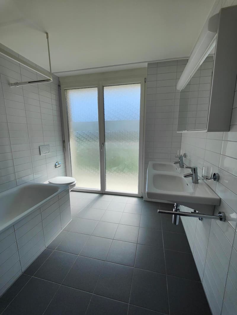 schöne, helle 3.5-Zimmer-Wohnung in Ebikon (6)