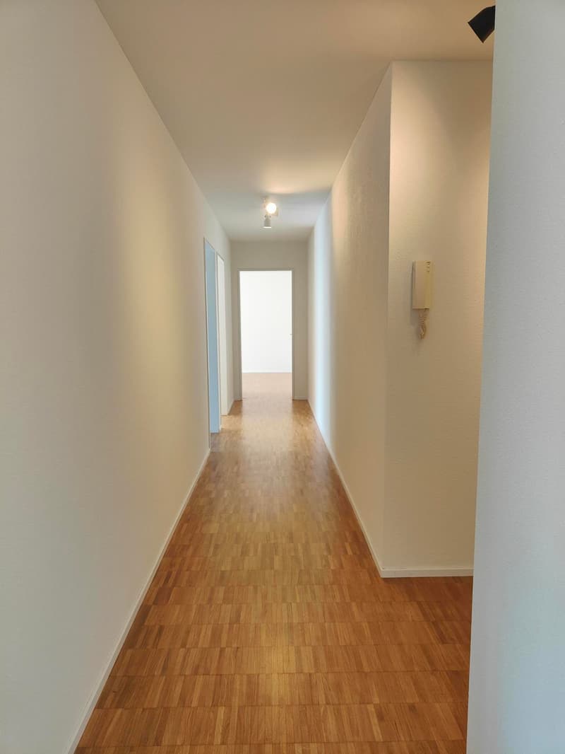 schöne, helle 3.5-Zimmer-Wohnung in Ebikon (1)