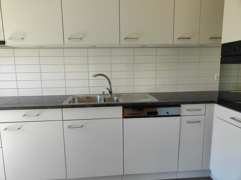 schöne, helle 3.5-Zimmer-Wohnung in Ebikon (12)