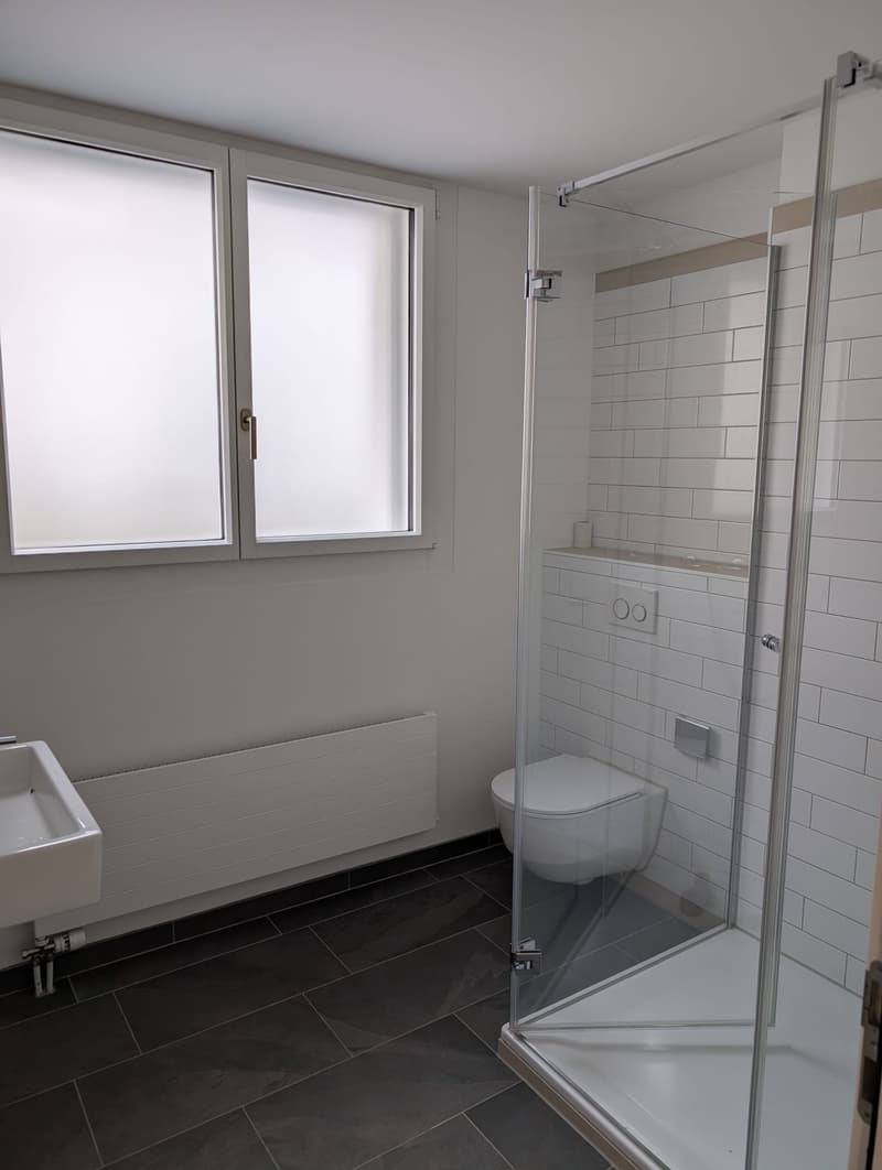 Zentrale 4.5-Zimmerwohnung beim Bahnhof Luzern (9)