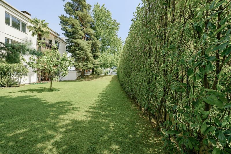 Appartamento 4.5 locali nel verde con piscina (18)