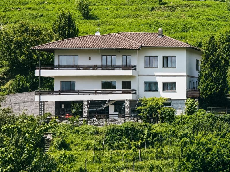 Ampia villa con tre appartamenti, piscina e vista aperta (2)