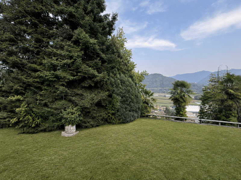 Splendida villa mediterranea con piscina e grande giardino (2)