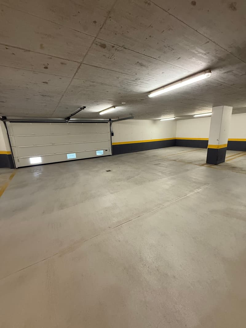 RESIDENZA SECONDARIA!!!Elegante Attico di 4.5 Locali con Vista Panoramica a Caslano (19)