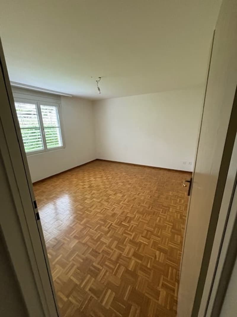 Splendido appartamento 4.5 locali con balcone a Pambio-Noranco (3)
