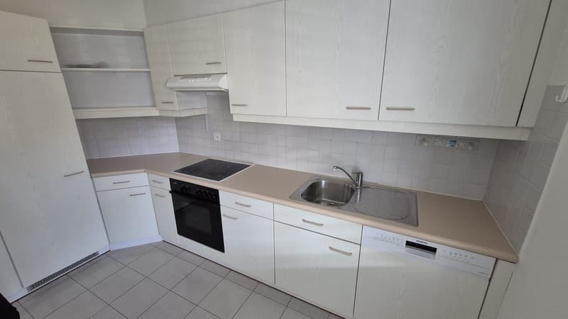 Splendido appartamento 4.5 locali con balcone a Pambio-Noranco (4)