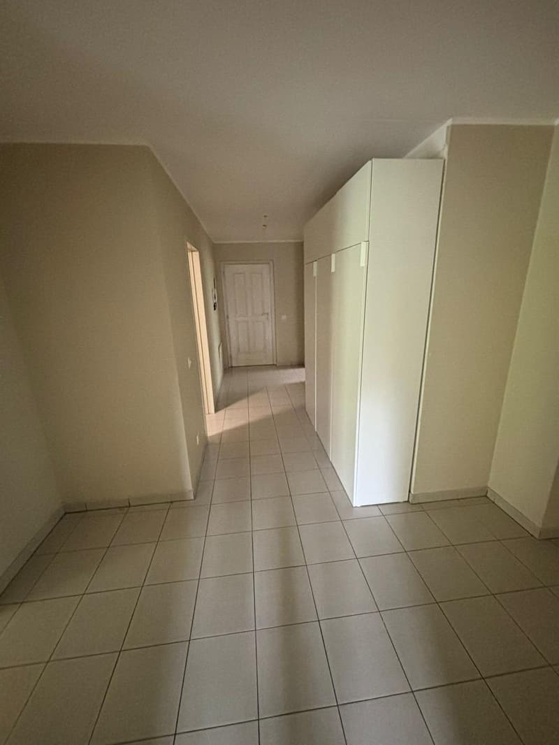 Appartamento 4.5 locali con giardino a Pambio-Noranco (5)