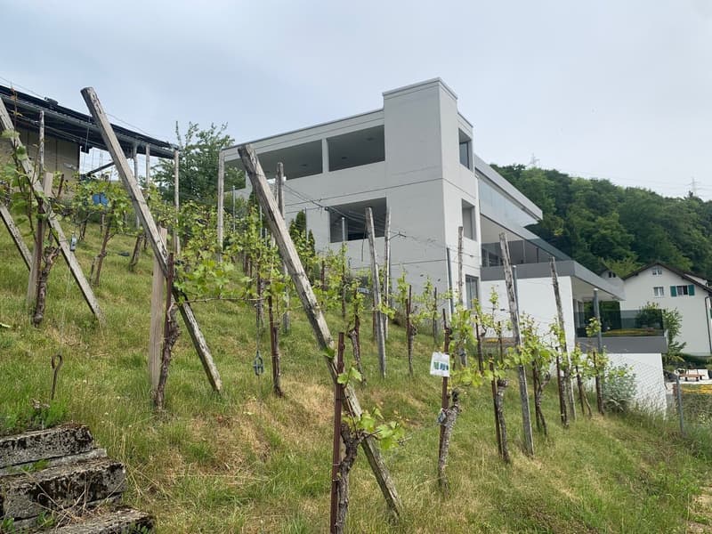 Charmantes 8-Zimmer-Einfamilienhaus - mit viel Ausnützungreserve (6)