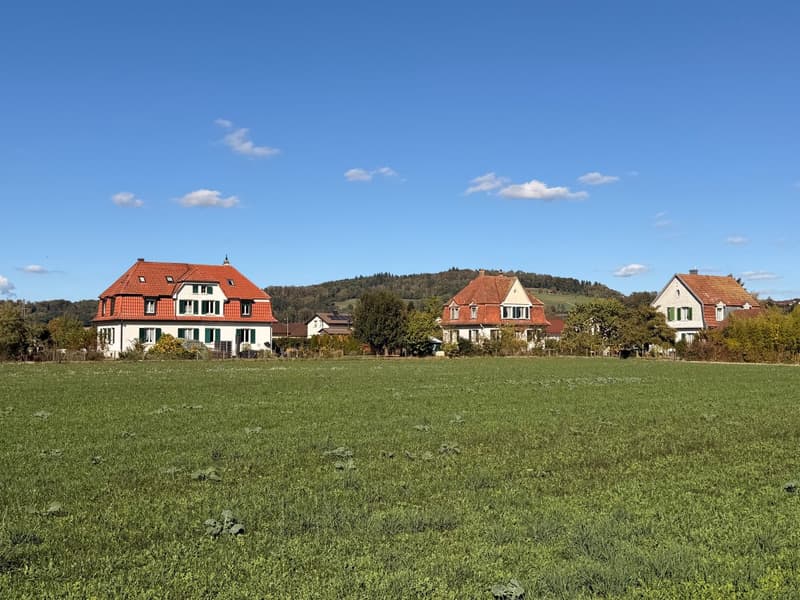 Charmantes Doppeleinfamilienhaus in Dottikon/Villmergen – Historischer Altbau (2)